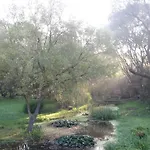 לינה וארוחת בוקר Rigo Panzio Verpelét