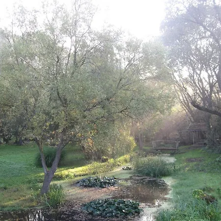 Bed & Breakfast Rigo Panzio Verpelet