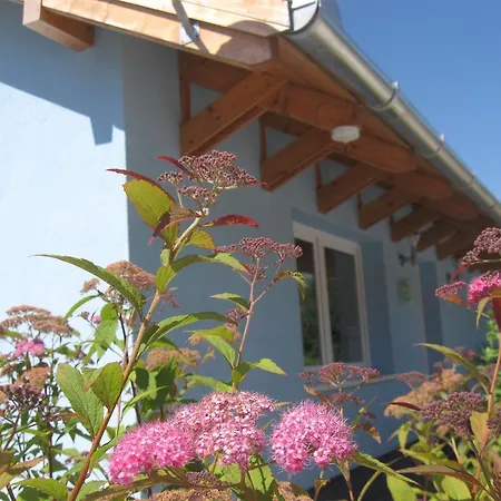 Bed & Breakfast Rigo Panzio Verpelet