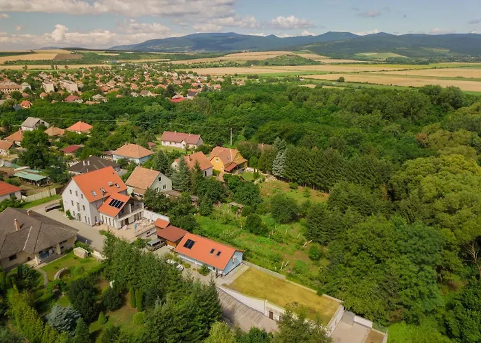 Oda ve Kahvaltı Rigo Panzio
